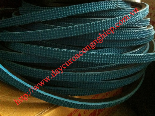 Dây curoa C Gai Ngành Gạch men